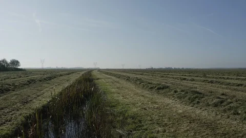 Drone over field netherlands Stock Footage 125869215