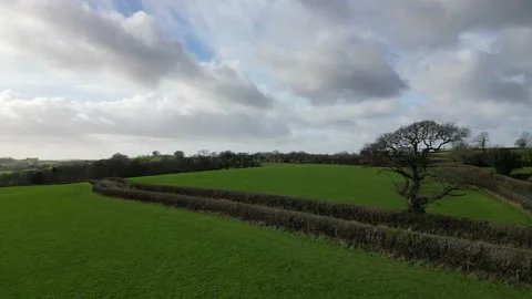 Drone Over Fields and Country Lane Stock Footage 229953245