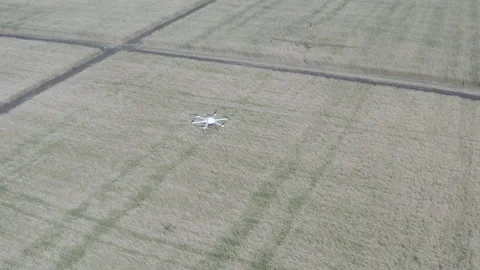 Drone over the fields Stock Footage 236312999