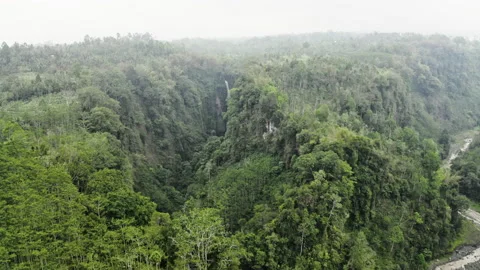 Drone Over Forest And Mist Of Tumpak Sewu Waterfalls Stock Footage 146104325