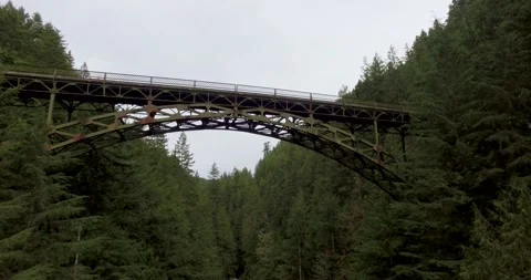 Drone over forest UP AND OVER BRIDGE Stock Footage 196476391