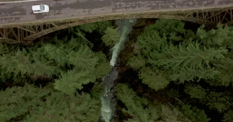 Drone over a forest BRIDGE WITH CAR Stock Footage 196476055