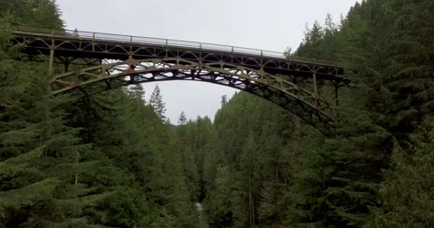 Drone over forest BRIDGE Stock Footage 196475528