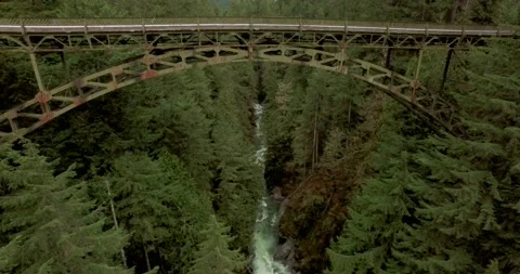 Drone over a forest BRIDGE TO STREAM/RIVER Stock Footage 196475887