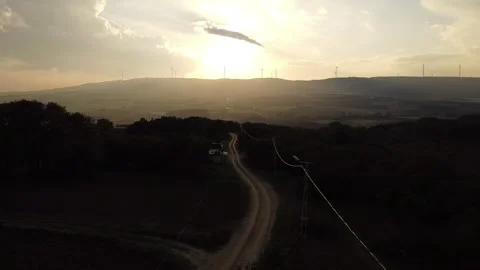 Drone Over Forest Clearing with Grazing Animals – 4K Aerial Footage Stock Footage 320198243