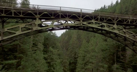 Drone over forest FLY UNDER BRIDGE Stock Footage 196475597