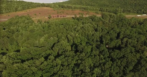 Drone over forest Stock Footage 71072553
