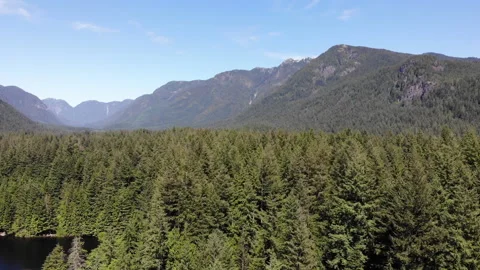 Drone Over Forest Video stock 243700989