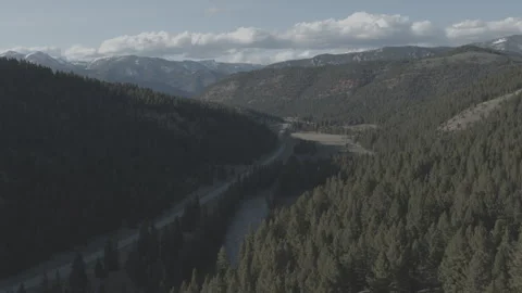 Drone Over Forest Stockbeeldmateriaal 248722876