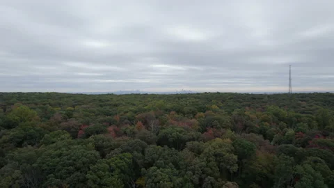 Drone over forest with NY skyline in background Vídeos de archivo 170320047