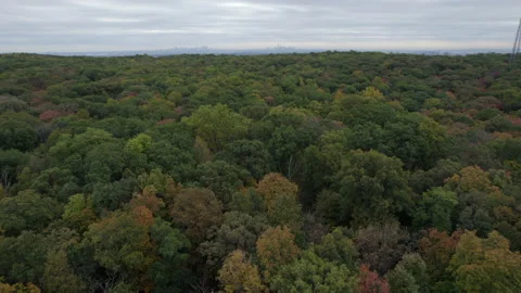Drone over forest with NY skyline 動画素材 170321079