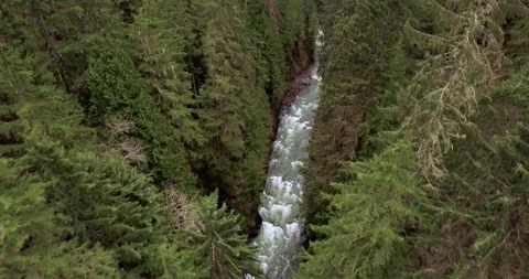 Drone over forest with stream/river CANYON Stock Footage 196475636