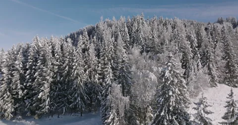 Drone Over Forests On Kitzsteinhorn Mountain Stock Footage 197139645