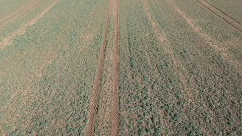 Drone Over Green Rolling Fields Stockbeeldmateriaal 103806934