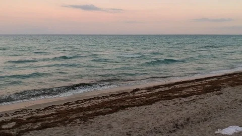 Drone over Hallandale Beach, Florida Stock Footage 101358375