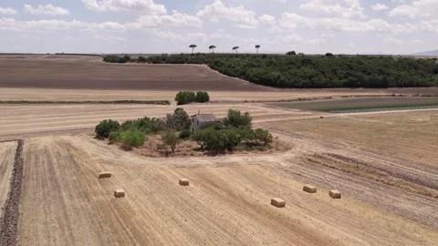 Drone over hay rolls in farm fields in autumn cloudy day Stock Footage 279059194