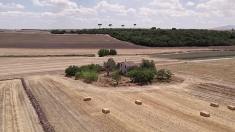 Drone over hay rolls in farm fields in autumn cloudy day Stock Footage 334325741