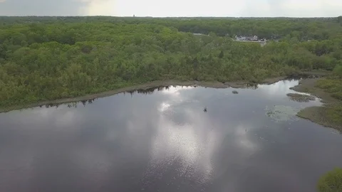 Drone over lake and trees summer 動画素材 108441983