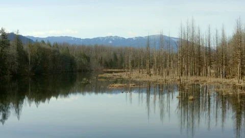 Drone over a lake Stock Footage 126113889