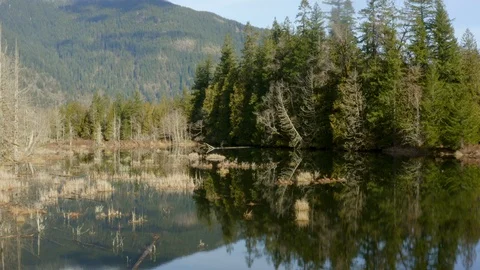 Drone over a lake Stock Footage 126121421