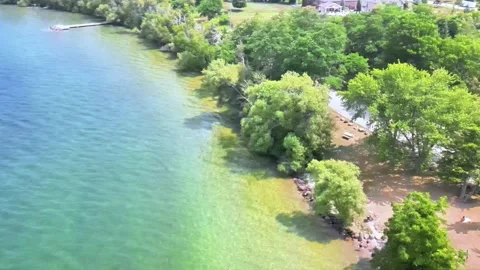 Drone over the lake shore Video stock 313506473