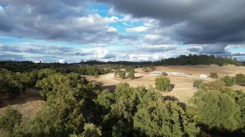 Drone Over Lush Property With Beautiful Clouds (2 of 2) Stockbeeldmateriaal 166319630