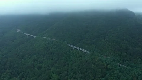 A drone over a mountain road in dense forest and fog. Cloudy summer day Stock Footage 334401829