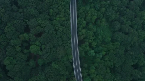 A drone over a mountain road in dense forest and fog. Cloudy summer day Stock Footage 334424334