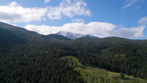 Drone over MT forest in Spring with snowy peak in cloud Stock Footage 309587590