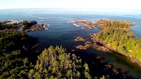 Drone over ocean cliffs and rainforest 3 Video stock 143933476