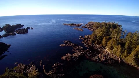 Drone over ocean cliffs and rainforest 2 Video stock 144149086