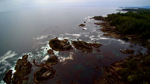 Drone over ocean cliffs and rainforest 1 Video stock 144149094