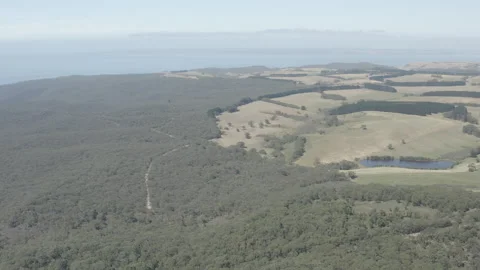 Drone over Over Forest Canopy View, Native Bush, South Australia Stock Footage 235976645