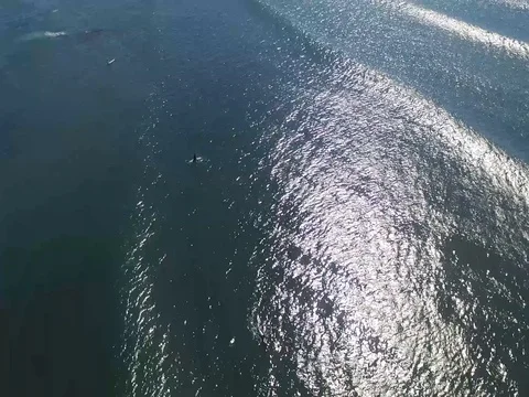 Drone over Pacific Beach Stock Footage 72574263