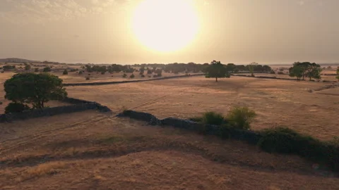 Drone over parched dehesa during heatwave at sunset, Salamanca, Spain Vidéo 341887462