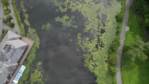 Drone over park lake Stockbeeldmateriaal 170321147