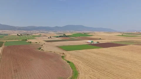 Drone Over Patchwork Fields Near Thiva, Greece Stock Footage 312782134