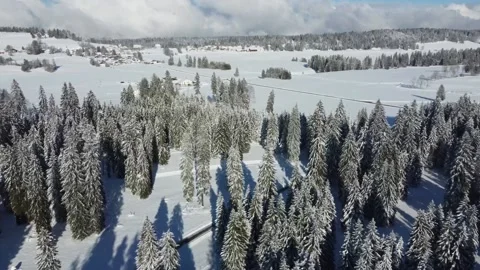 Drone over pine forest in Jura Switzerland in Winter Stock Footage 168258424