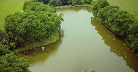 Drone over a pond Vídeo Stock 167655013