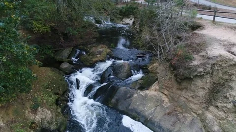 Drone over a Pond stream Vidéo 82243521