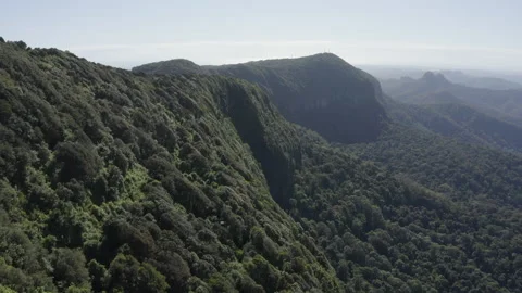Drone over Rainforest Mountain, Australia, QLD, Gondwana, Springbrook Stock Footage 236540793