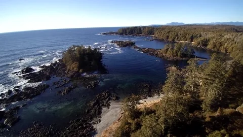 Drone over Rainforest to Ocean Video stock 144566708