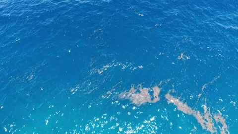 Drone Over Reef Drop-Off, Turquoise Shallows to Deep Blue, Panglao Bohol Vídeo Stock 336645198