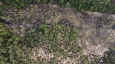 Drone over a remote Norwegian forest and a winding river with a top-down Aerial Video stock 335199086