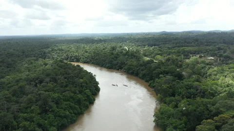 Drone over a river in the Amazon Stock Footage 323839743