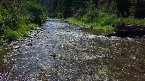 Drone over a river 스톡 동영상 79513746