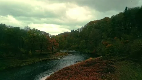 Drone over river in forest Stock Footage 220333511