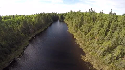 Drone over river inlet and forest (aerial) Stock Footage 51712184