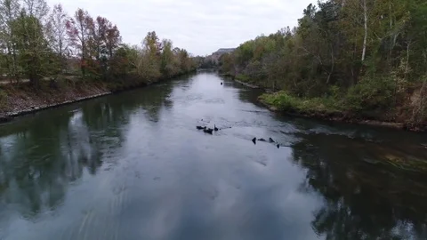 Drone over a River low Vidéo 82243512