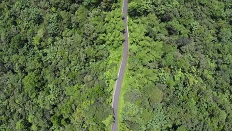 Drone Over A Road Between Martinique Rainforest Vidéo 196828612
